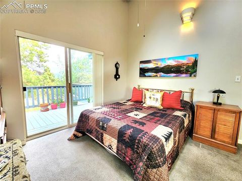 Tiny photo for 305 Comanche Drive, Florissant, CO 80816 (MLS # 5283413)