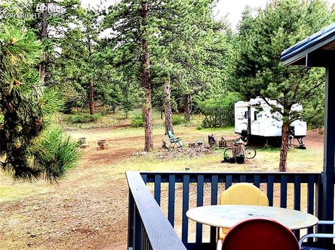 Tiny photo for 305 Comanche Drive, Florissant, CO 80816 (MLS # 5283413)