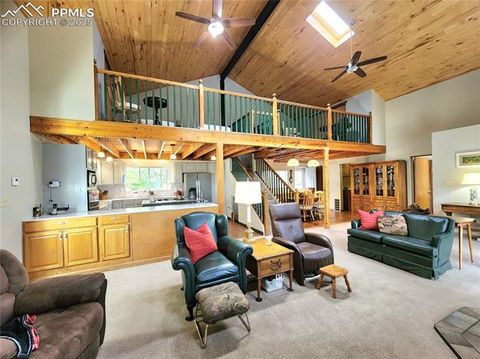 Tiny photo for 305 Comanche Drive, Florissant, CO 80816 (MLS # 5283413)