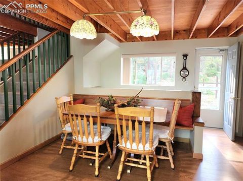 Tiny photo for 305 Comanche Drive, Florissant, CO 80816 (MLS # 5283413)