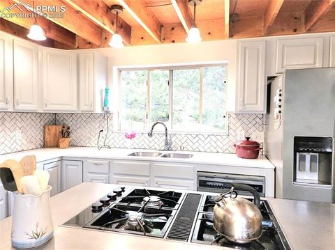 Tiny photo for 305 Comanche Drive, Florissant, CO 80816 (MLS # 5283413)