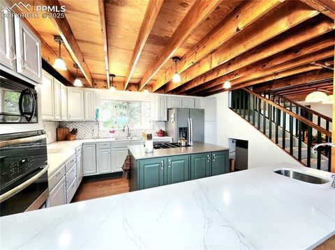 Tiny photo for 305 Comanche Drive, Florissant, CO 80816 (MLS # 5283413)