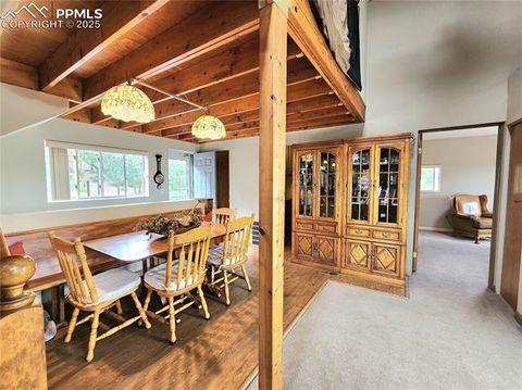 Tiny photo for 305 Comanche Drive, Florissant, CO 80816 (MLS # 5283413)
