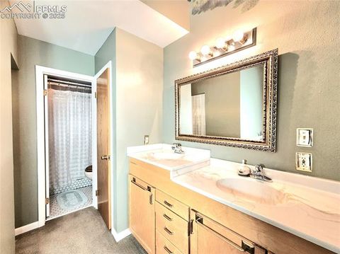 Tiny photo for 305 Comanche Drive, Florissant, CO 80816 (MLS # 5283413)