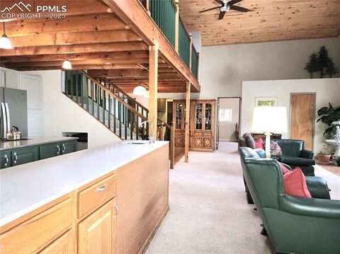 Tiny photo for 305 Comanche Drive, Florissant, CO 80816 (MLS # 5283413)