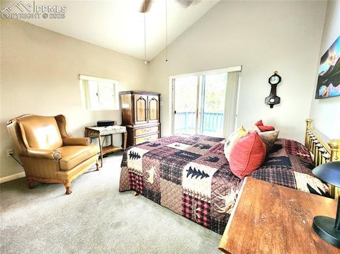 Tiny photo for 305 Comanche Drive, Florissant, CO 80816 (MLS # 5283413)