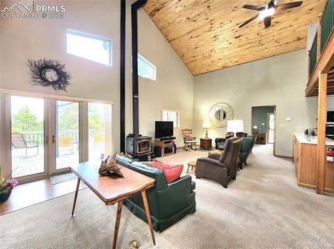 Tiny photo for 305 Comanche Drive, Florissant, CO 80816 (MLS # 5283413)