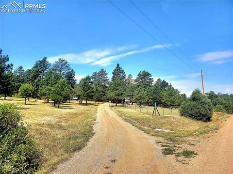 Tiny photo for 305 Comanche Drive, Florissant, CO 80816 (MLS # 5283413)