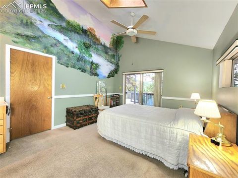 Tiny photo for 305 Comanche Drive, Florissant, CO 80816 (MLS # 5283413)