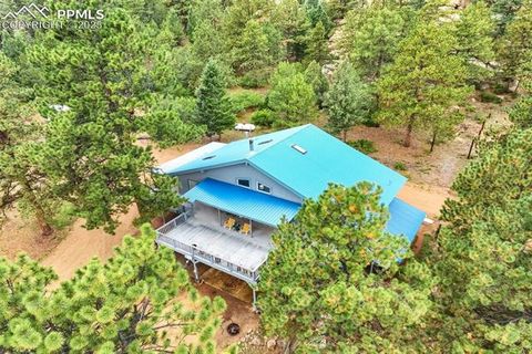 Photo of 305 Comanche Drive, Florissant, CO 80816 (MLS # 5283413)
