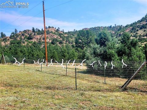 Tiny photo for 305 Comanche Drive, Florissant, CO 80816 (MLS # 5283413)