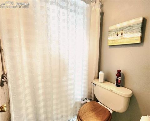 Tiny photo for 305 Comanche Drive, Florissant, CO 80816 (MLS # 5283413)