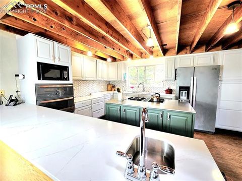 Tiny photo for 305 Comanche Drive, Florissant, CO 80816 (MLS # 5283413)