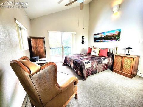Tiny photo for 305 Comanche Drive, Florissant, CO 80816 (MLS # 5283413)