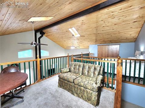 Tiny photo for 305 Comanche Drive, Florissant, CO 80816 (MLS # 5283413)