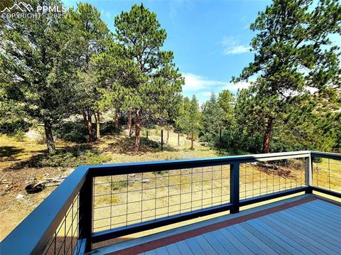 Tiny photo for 305 Comanche Drive, Florissant, CO 80816 (MLS # 5283413)