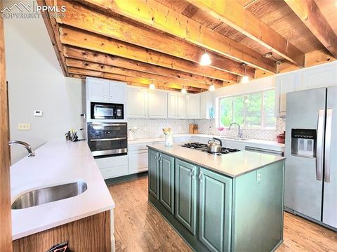 Tiny photo for 305 Comanche Drive, Florissant, CO 80816 (MLS # 5283413)