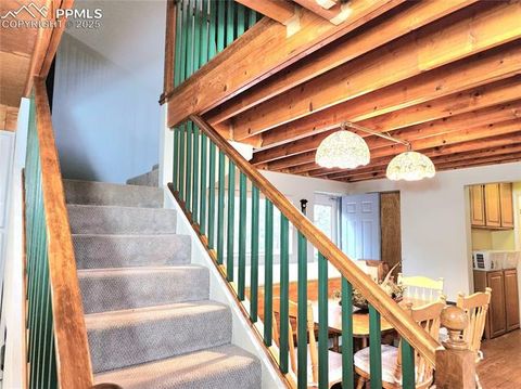 Tiny photo for 305 Comanche Drive, Florissant, CO 80816 (MLS # 5283413)