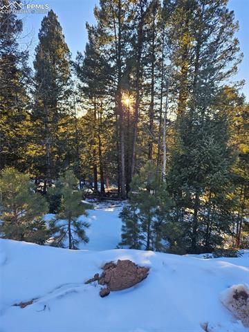 133 Sildona Trail