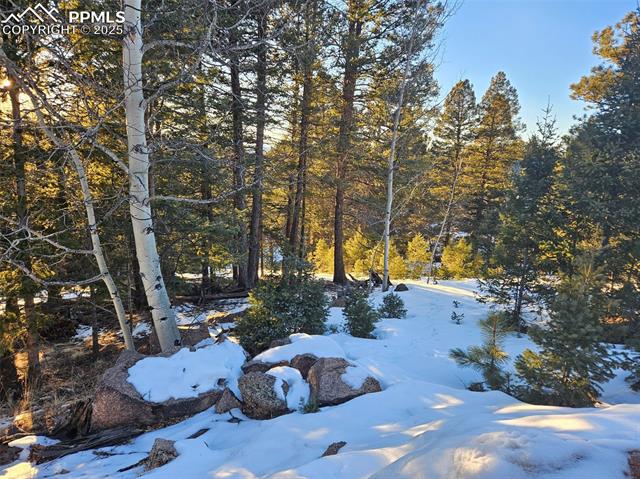 133 Sildona Trail