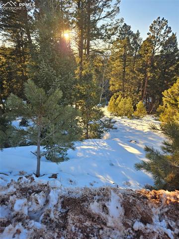 133 Sildona Trail