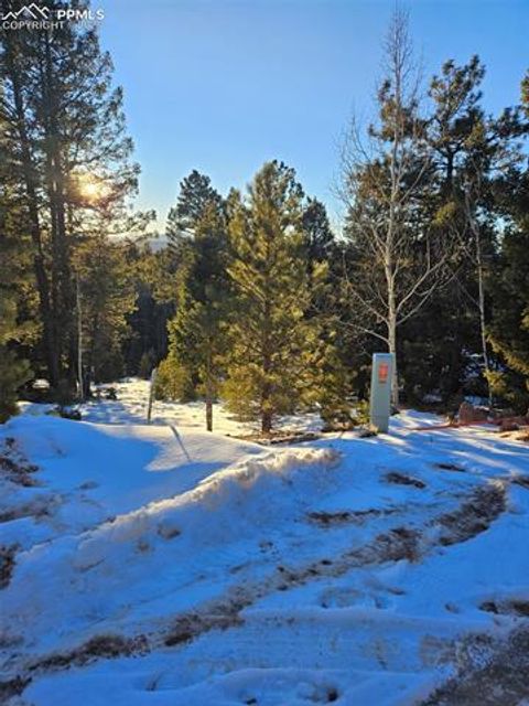 Photo of 133 Sildona Trail, Florissant, CO 80816 (MLS # 3825439) Photo of 133 Sildona Trail, Florissant, CO 80816 (MLS # 3825439)