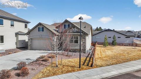 Photo of 10526 Kelowna View, Colorado Springs, CO 80908 (MLS # 9500744)