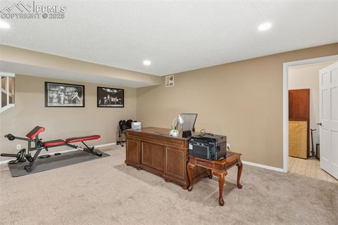 Tiny photo for 2005 Windham Way #8, Colorado Springs, CO 80906 (MLS # 9182402)