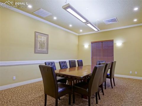 Tiny photo for 4792 Kerry Lynn View, Colorado Springs, CO 80922 (MLS # 8916139)