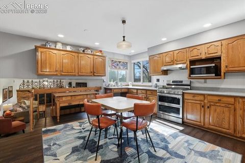 Tiny photo for 3810 Hawk Lane, Colorado Springs, CO 80917 (MLS # 7044227)