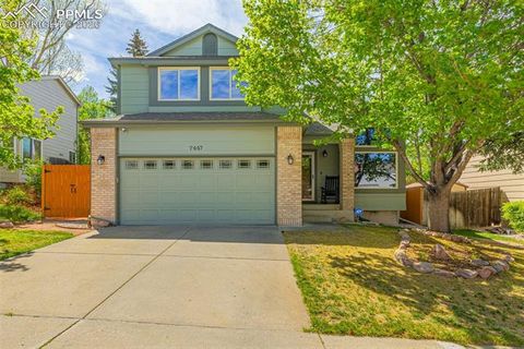 Photo of 7447 Montarbor Drive, Colorado Springs, CO 80918 (MLS # 6663956)