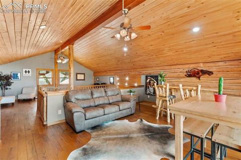 Tiny photo for 9110 Mountain Road, Cascade, CO 80809 (MLS # 6397708)