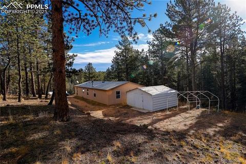 Tiny photo for 1641 Kiowa Road, Florissant, CO 80816 (MLS # 5367487)
