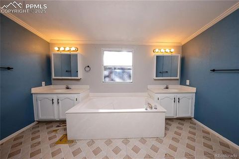 Tiny photo for 1641 Kiowa Road, Florissant, CO 80816 (MLS # 5367487)