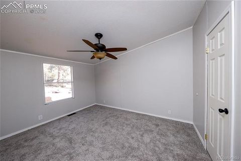 Tiny photo for 1641 Kiowa Road, Florissant, CO 80816 (MLS # 5367487)