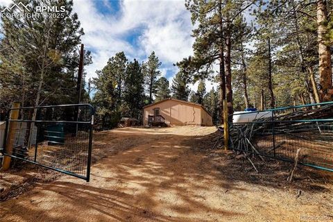 Photo of 1641 Kiowa Road, Florissant, CO 80816 (MLS # 5367487)