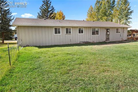 Tiny photo for 1013 Fullview Street, Woodland Park, CO 80863 (MLS # 6295197)