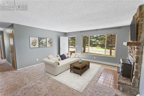Tiny photo for 1013 Fullview Street, Woodland Park, CO 80863 (MLS # 6295197)