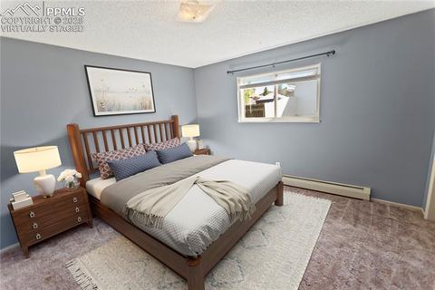 Tiny photo for 1013 Fullview Street, Woodland Park, CO 80863 (MLS # 6295197)