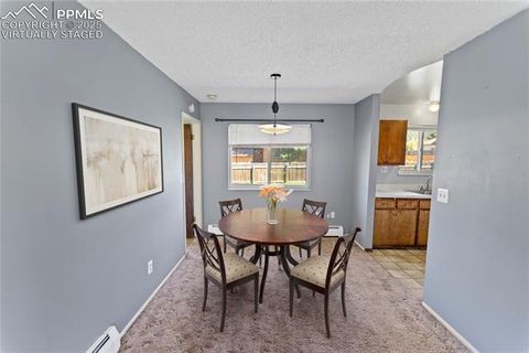 Tiny photo for 1013 Fullview Street, Woodland Park, CO 80863 (MLS # 6295197)