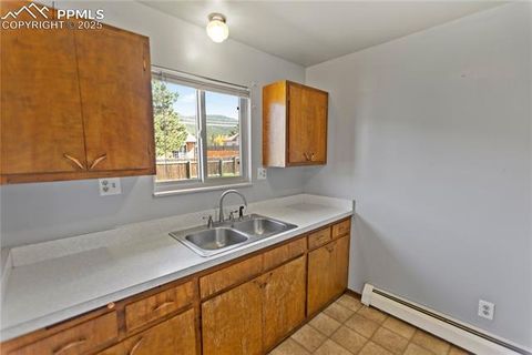 Tiny photo for 1013 Fullview Street, Woodland Park, CO 80863 (MLS # 6295197)
