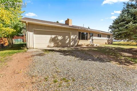 Photo of 1013 Fullview Street, Woodland Park, CO 80863 (MLS # 6295197)