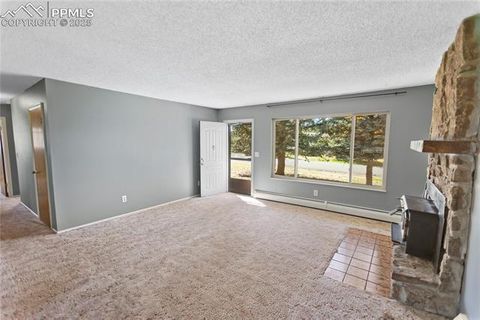 Tiny photo for 1013 Fullview Street, Woodland Park, CO 80863 (MLS # 6295197)