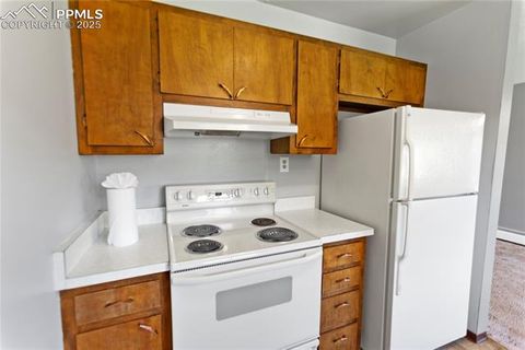 Tiny photo for 1013 Fullview Street, Woodland Park, CO 80863 (MLS # 6295197)