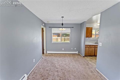 Tiny photo for 1013 Fullview Street, Woodland Park, CO 80863 (MLS # 6295197)