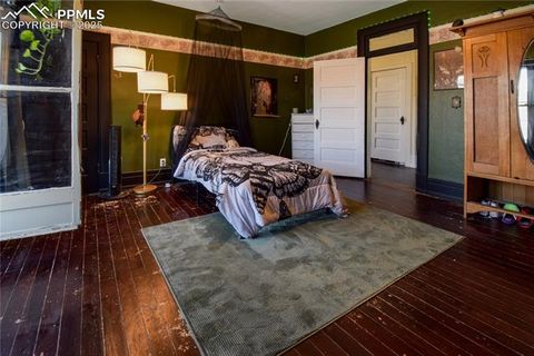 Tiny photo for 316 E Orman Avenue, Pueblo, CO 81004 (MLS # 3742200)