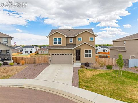 Photo of 7201 Alpine Daisy Drive, Colorado Springs, CO 80925 (MLS # 3420367)