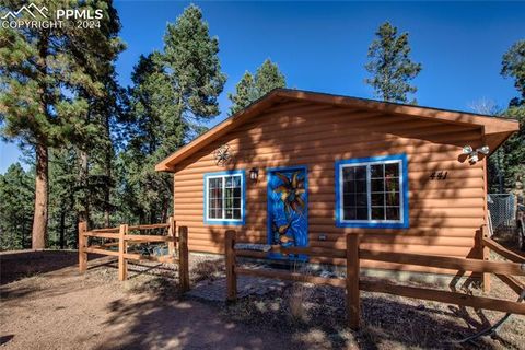 Tiny photo for 441 Paint Pony Lane, Florissant, CO 80816 (MLS # 8549130)
