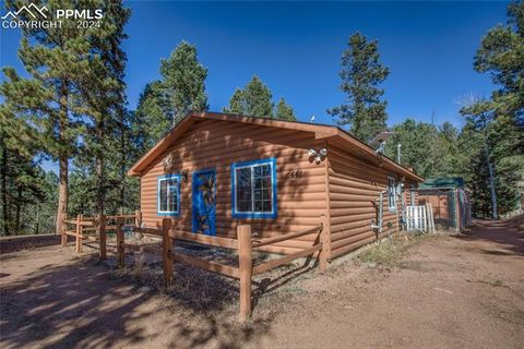 Photo of 441 Paint Pony Lane, Florissant, CO 80816 (MLS # 8549130)