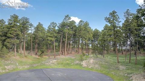Photo of 3930 Serenity Place, Colorado Springs, CO 80908 (MLS # 1531703)